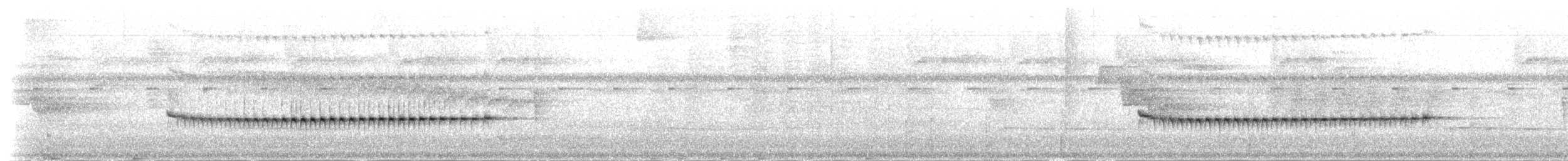 spydknottsmett (rufiventris gr.) - ML48158741