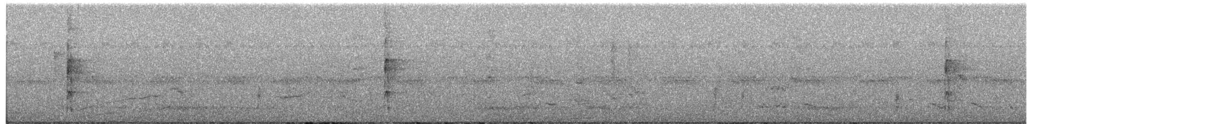 strakapoud proužkohřbetý - ML481598001