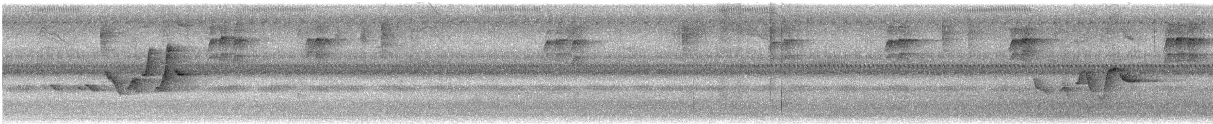 Paruline à capuchon - ML481601151