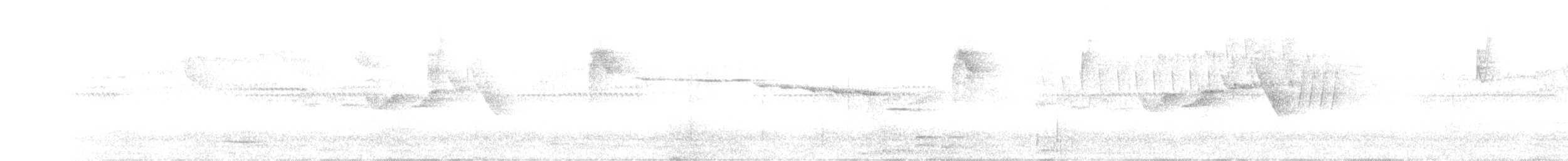 White-browed Warbler - ML481604091
