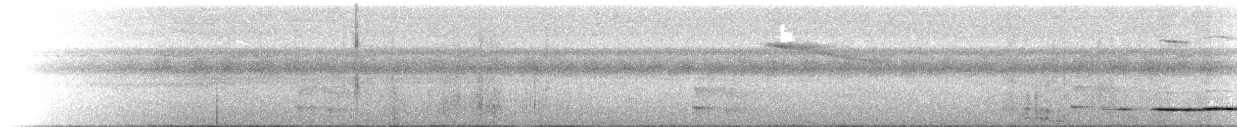 Streak-chested Antpitta (Pacific Slope) - ML481705341