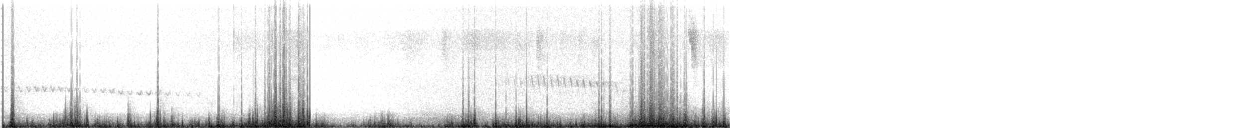 Cariblanco Bandeado - ML481705811