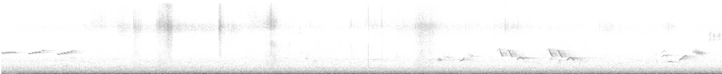ニシクロウタドリ - ML481717861
