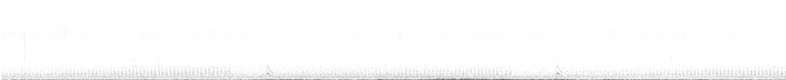 コシジロウミツバメ - ML481742991