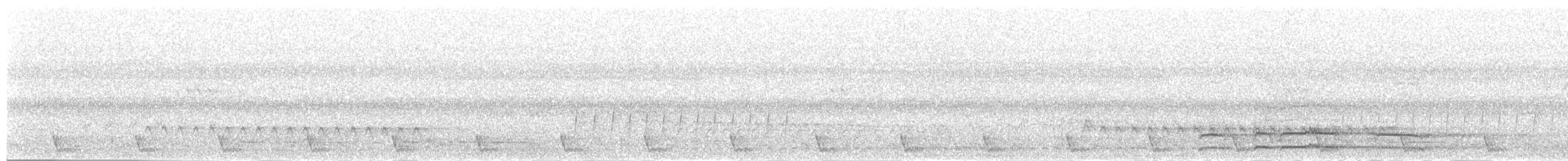 Large-tailed Nightjar - ML481780251