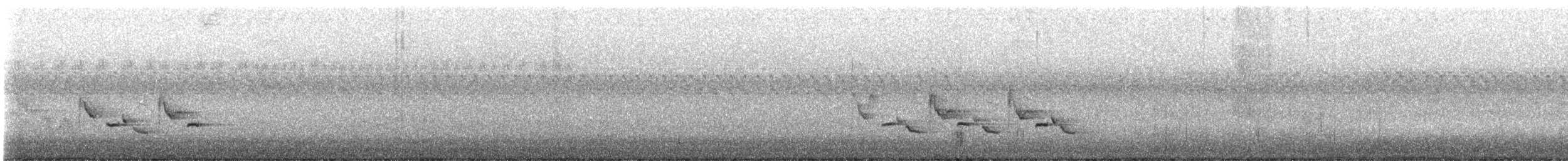 Поплітник каролінський - ML481802401