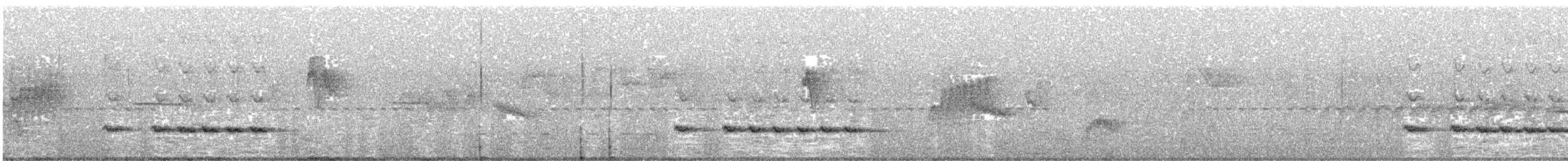 Golden Babbler - ML481811341