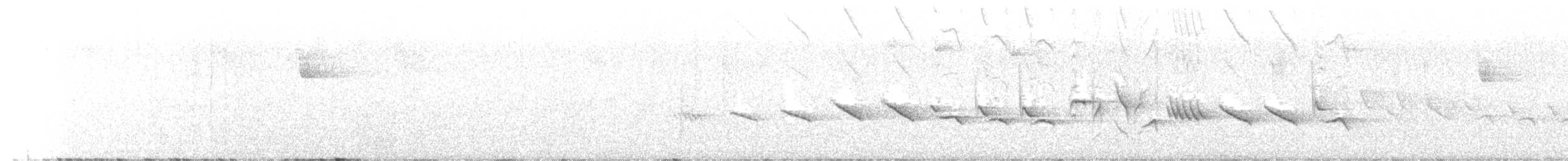 Kestane Karınlı Koca Tohumcul - ML481889411