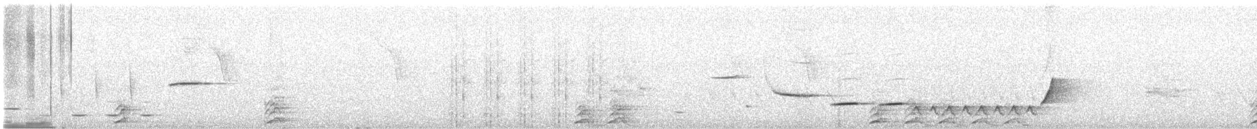 Şerit Karınlı Çıtkuşu - ML481936291