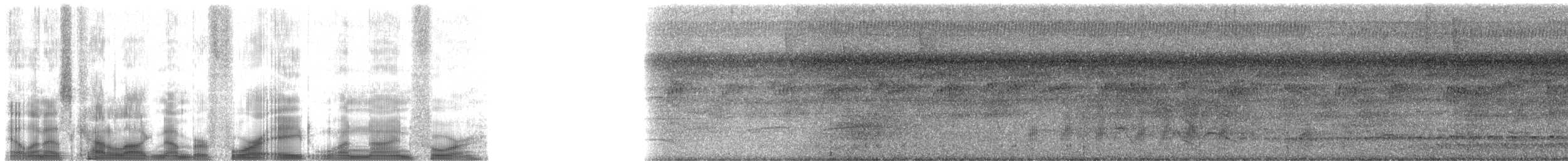 Black-tailed Tityra (Western) - ML48194