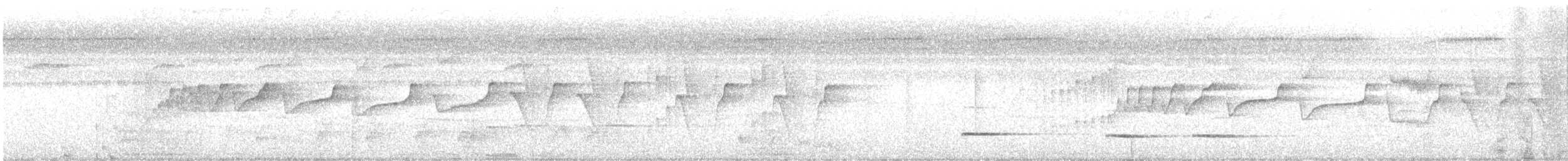 ウスグロキリハシ - ML481952371