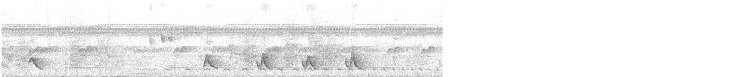 ホオジロマユミソサザイ - ML481959691