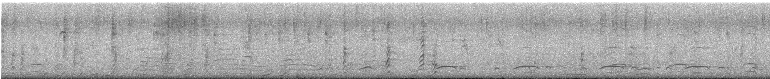 Gambel's Quail - ML482067171