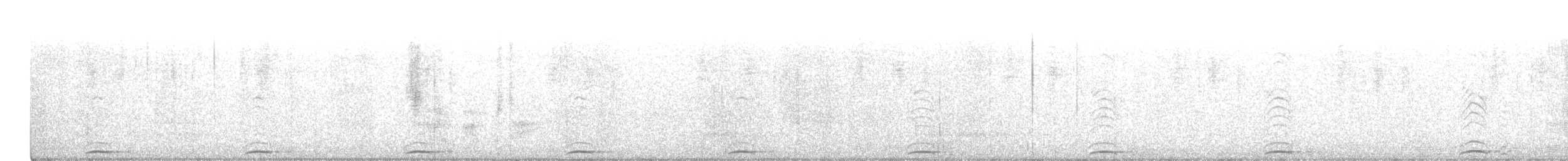 Grallaire de Ridgely - ML482100391