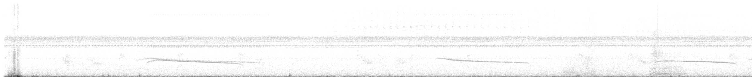 Perlenmantel-Ameisenwürger - ML482133721
