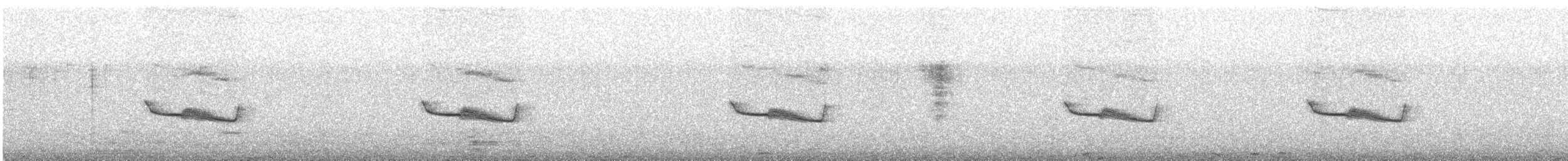 Breitspiegel-Nachtschwalbe - ML482251621