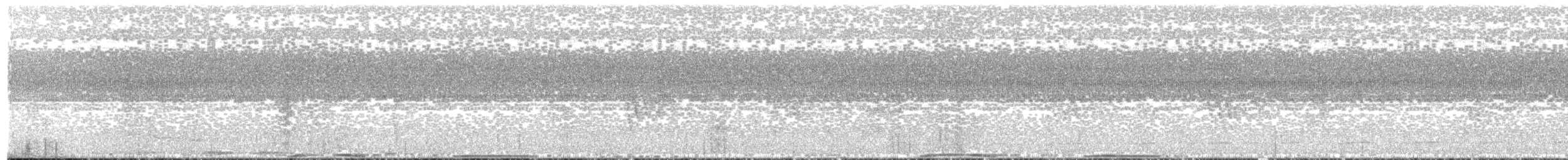 holub světlehlavý - ML482278961