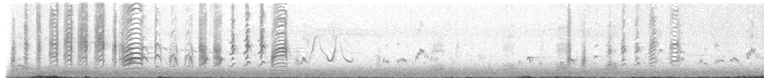 白胸燕鵙 - ML482291011
