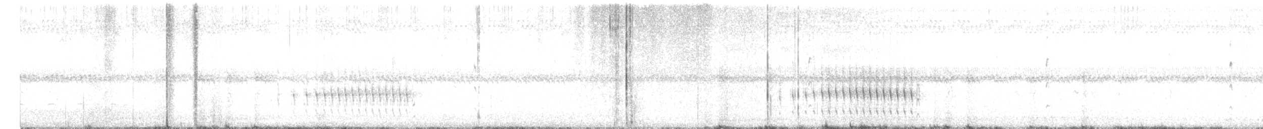 Желтогорлая пищуховая иглохвостка - ML482311391
