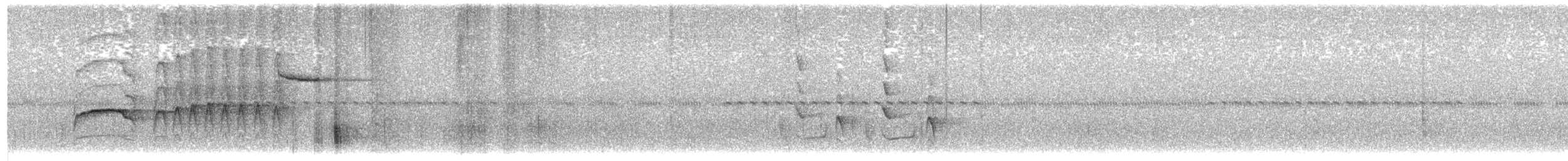 Snowy-throated Babbler - ML482312621