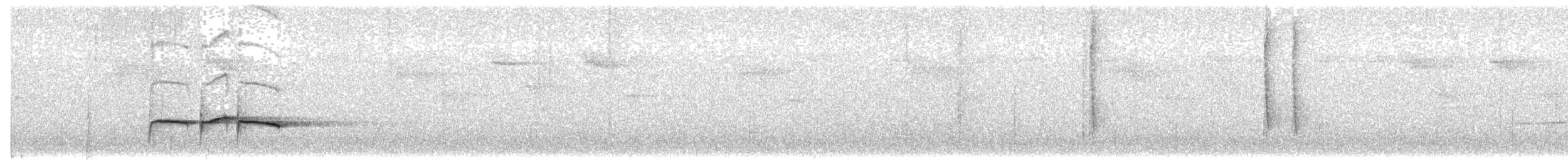 Snowy-throated Babbler - ML482312631