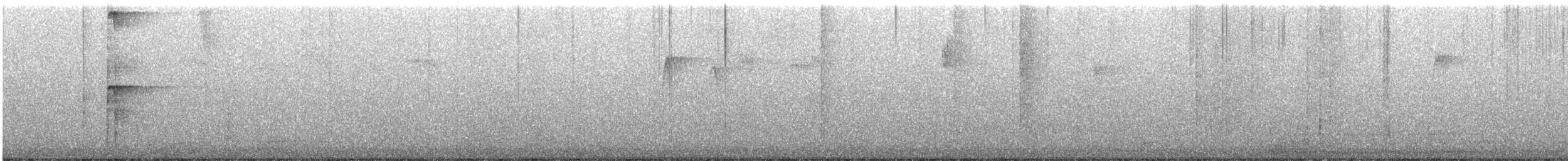 strakapoud americký [skupina villosus] - ML482344001