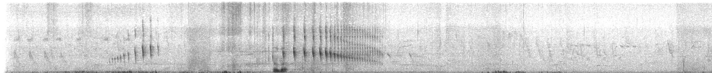 Curve-billed Reedhaunter - ML482412421