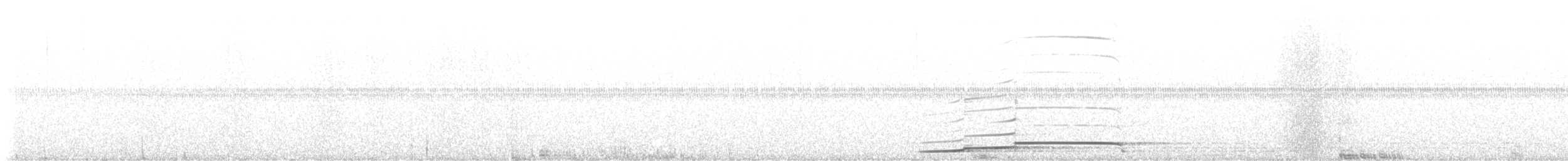 Гагара полярна - ML482471981