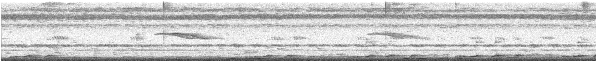白腹秧雞 - ML482524521