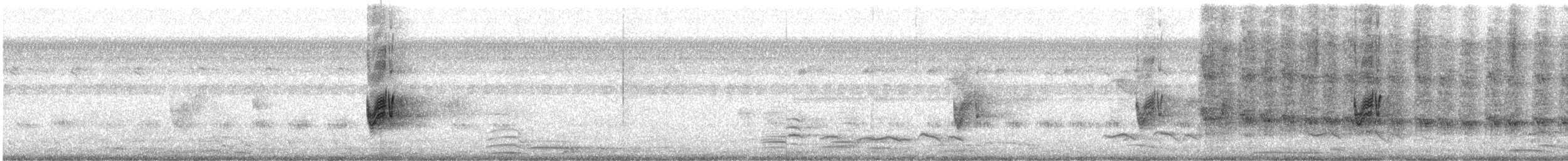 Savannennachtschwalbe - ML482531731