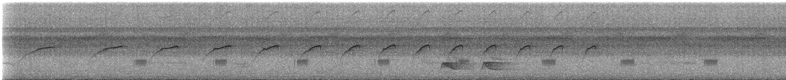 Lanceolated Monklet - ML482547691