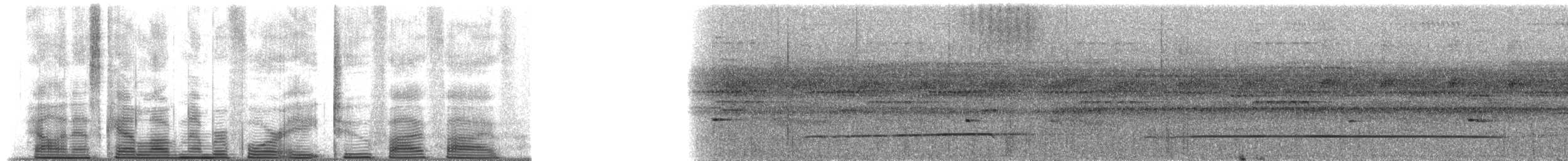 Strichelfaulvogel (torridus) - ML48255