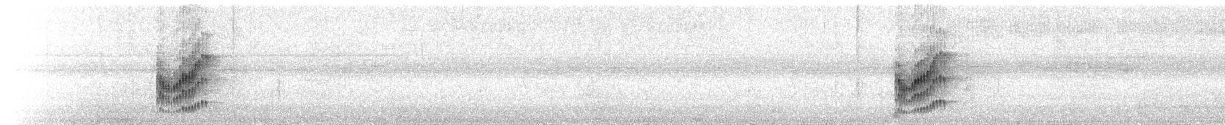 Happy Wren - ML48256011