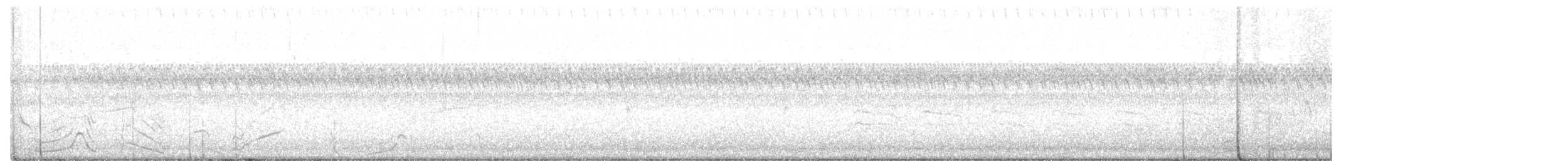 nordkrattvaktel (virginianus gr.) - ML482580271