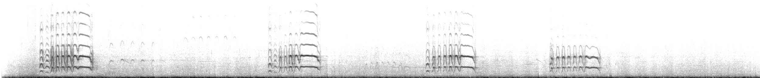 American Oystercatcher - ML482620671
