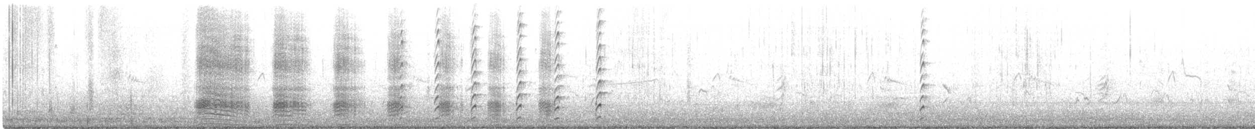 Schwarznacken-Stelzenläufer - ML482672281