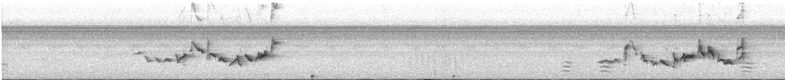 Warbling Vireo - ML482696351