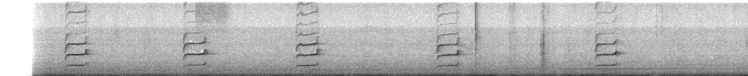 Weißzügel-Dickichtschlüpfer - ML482710001