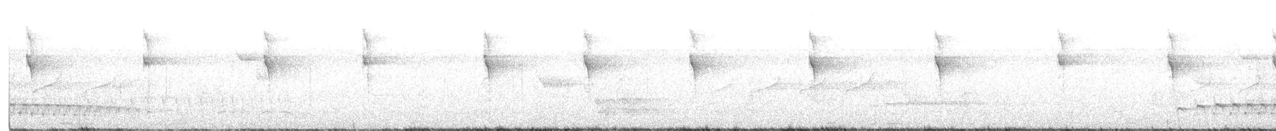 Painted Tody-Flycatcher - ML482719921