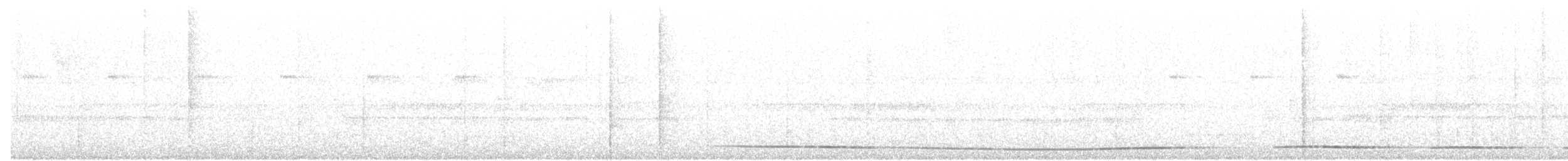 Tinamou noir - ML48273311