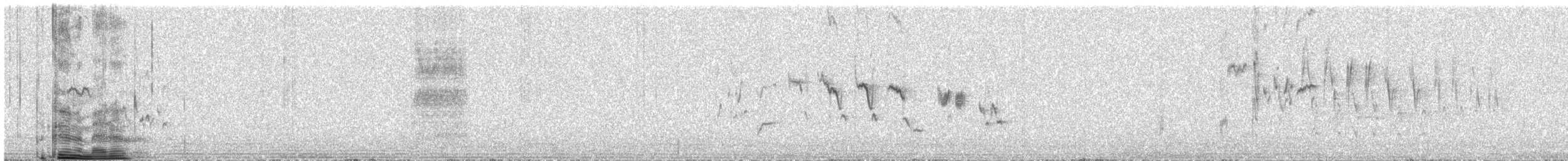 bird sp. - ML482747571