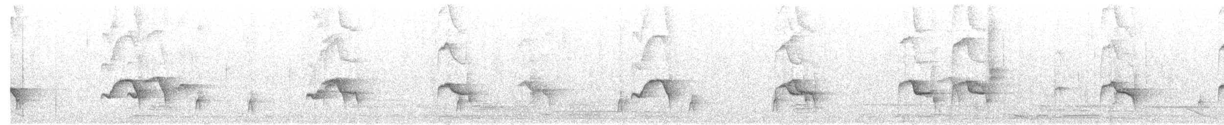 Schwarzschnabeldrossel - ML48275381