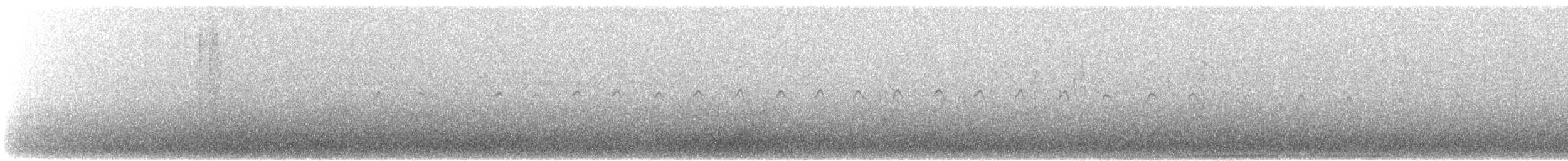 Australasian Grebe - ML482790461