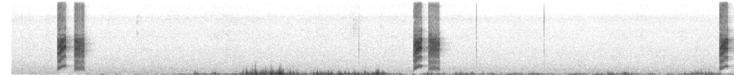 Амурская райская мухоловка - ML482808921