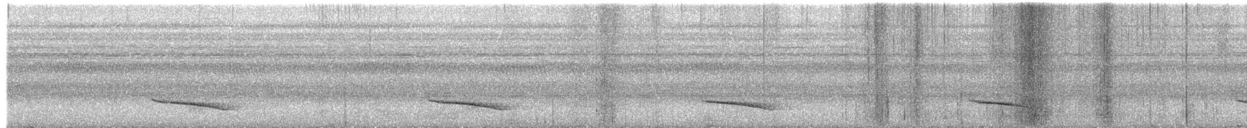 Ak Kulaklı Koca Vireo - ML482855591