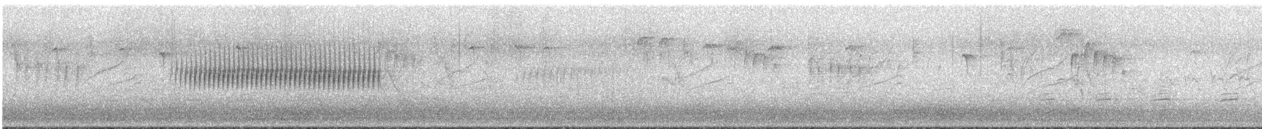 strnadec zimní [skupina oreganus] - ML482855721