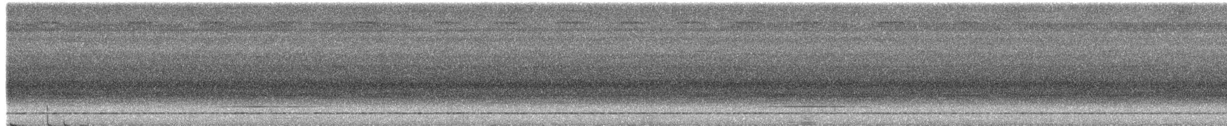 Серый скрытохвост - ML482856001