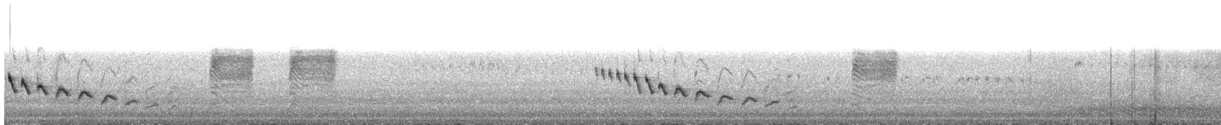 Canyon Wren - ML48285771