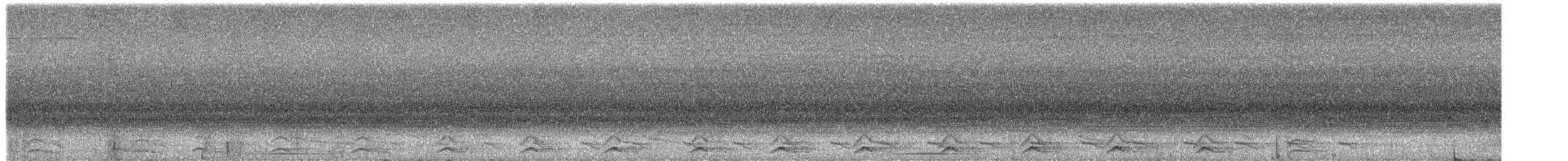 Black-tailed Trogon - ML482858101