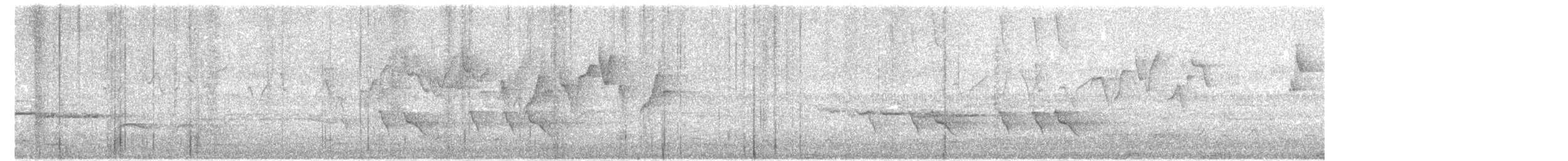 Allotrie siamoise (ripleyi) - ML482878551